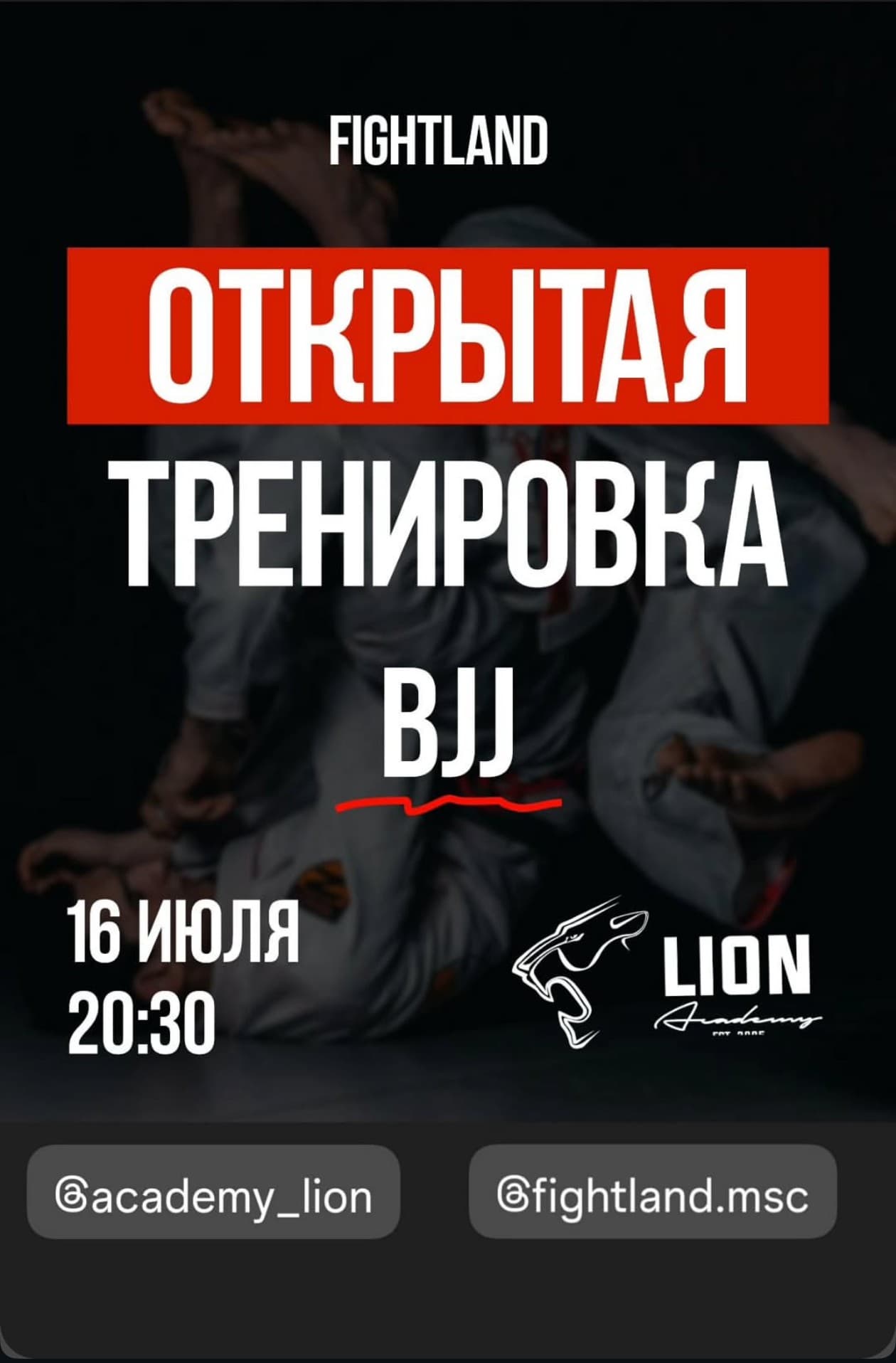 Афиша открытой тренировки BJJ в Fightland (Lion Academy)